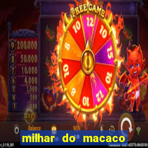 milhar do macaco que mais saem no jogo do bicho